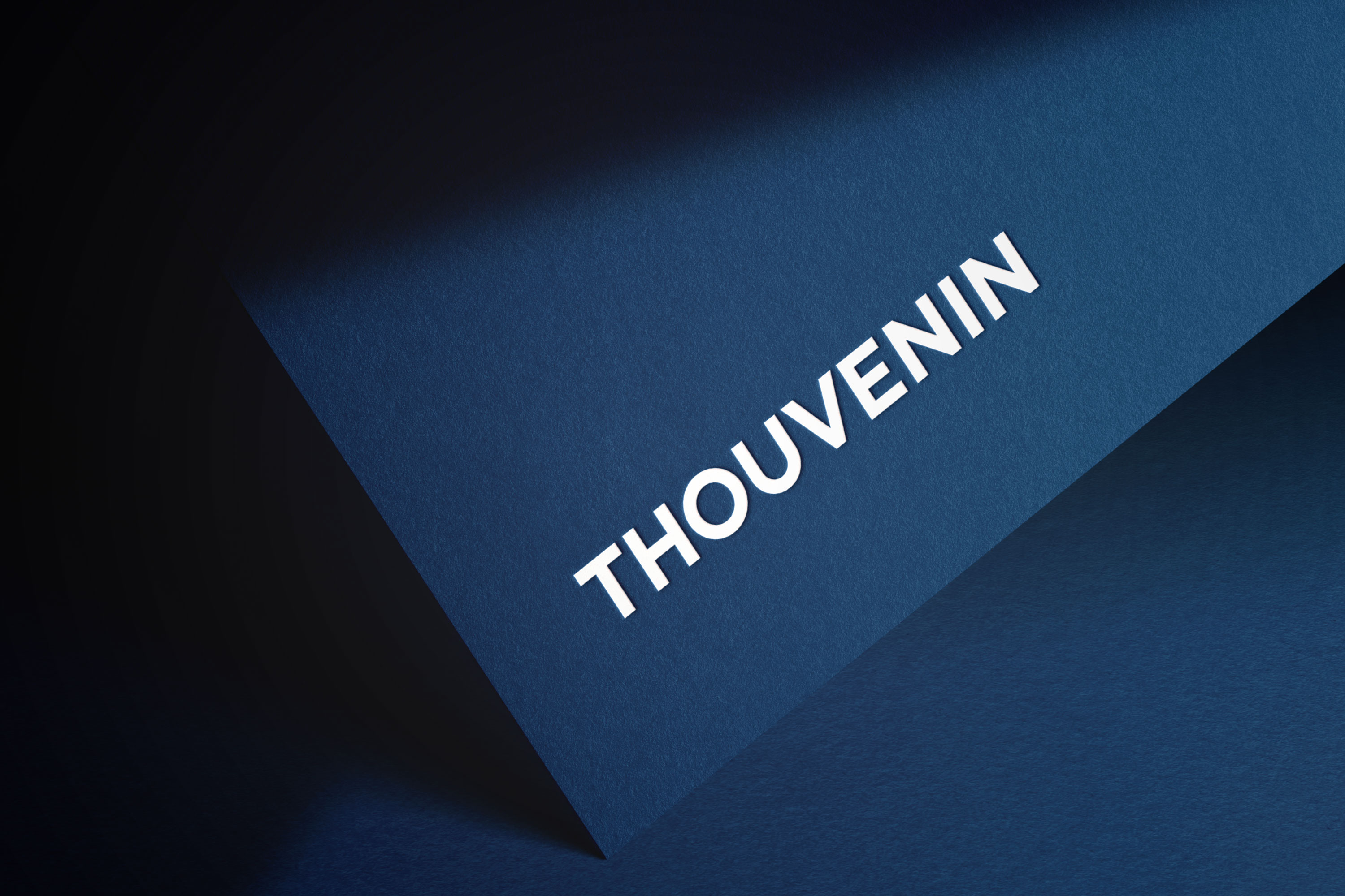 Thouvenin logo Thouvenin lawyers logo